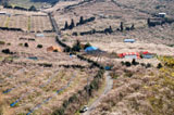 白浜町安居(小森梅林)