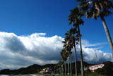 白浜町志原海岸(道の駅付近)