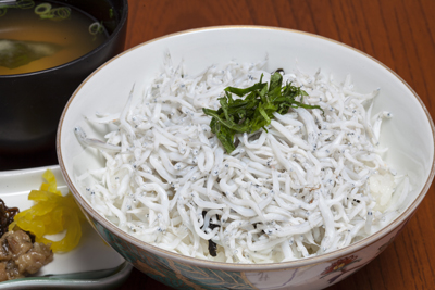 しらす丼