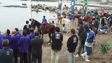 馬の潮垢離風景