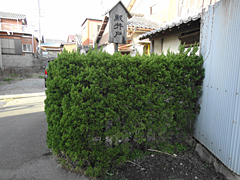 殿井戸
