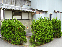 殿井戸