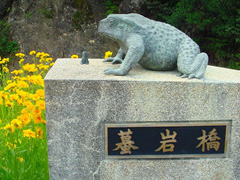 ヒキガエルの親子