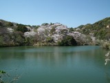 動鳴気峡(岩口池)