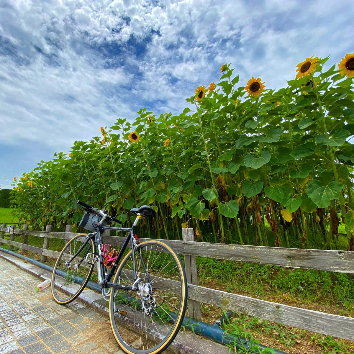 新庄総合公園