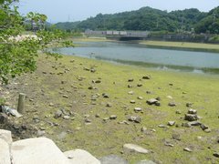 内之浦親水公園の干潟
