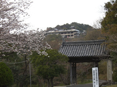 救馬渓観音