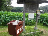 俳句箱