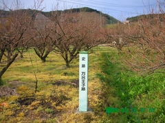 万呂王子