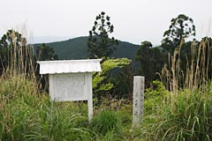 潮見峠越えの熊野古道