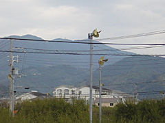 防霜ファン
