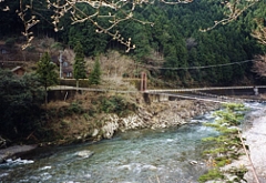 長〜い吊り橋