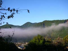 近露の川霧