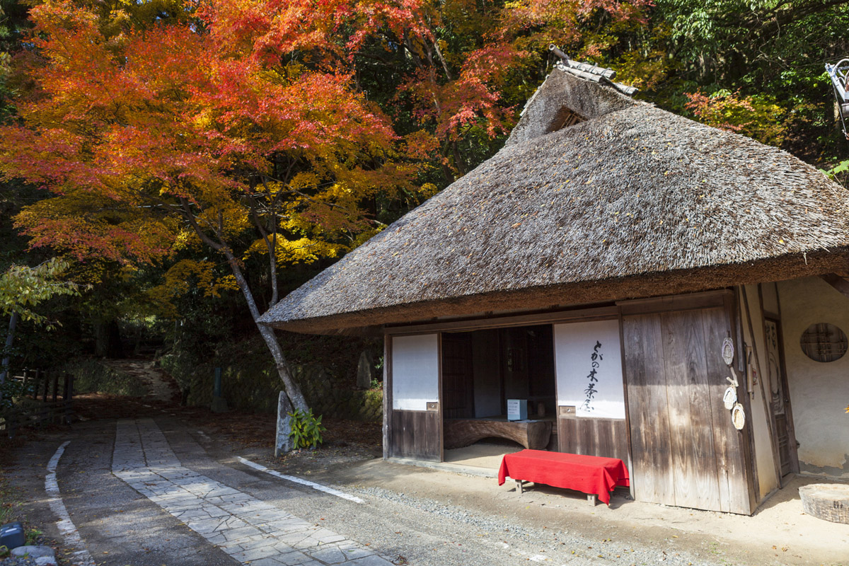 とがの木茶屋
