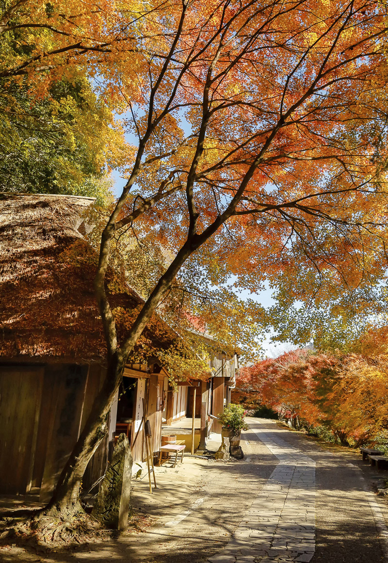 とがの木茶屋