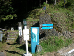 小広王子