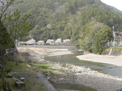 渡瀬つり橋