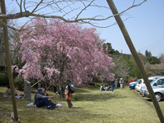 七越峰