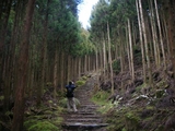 越前峠