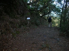 桜峠