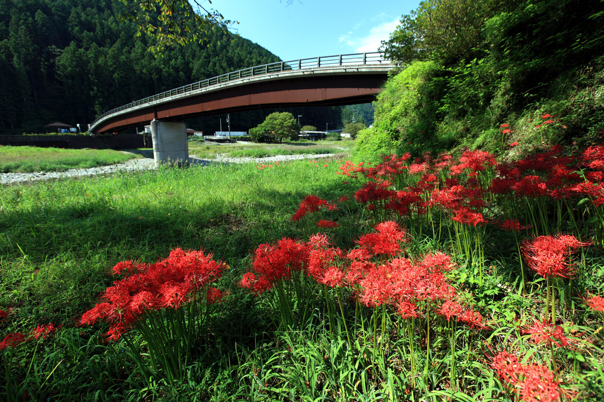 小和瀬の渡し跡