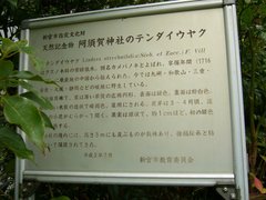 天台烏薬の由来説明板