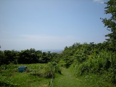 展望台から下り方面の眺望