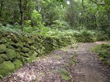高野坂の道1