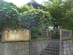 白浜薬師堂