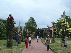 平草原公園のバラ園