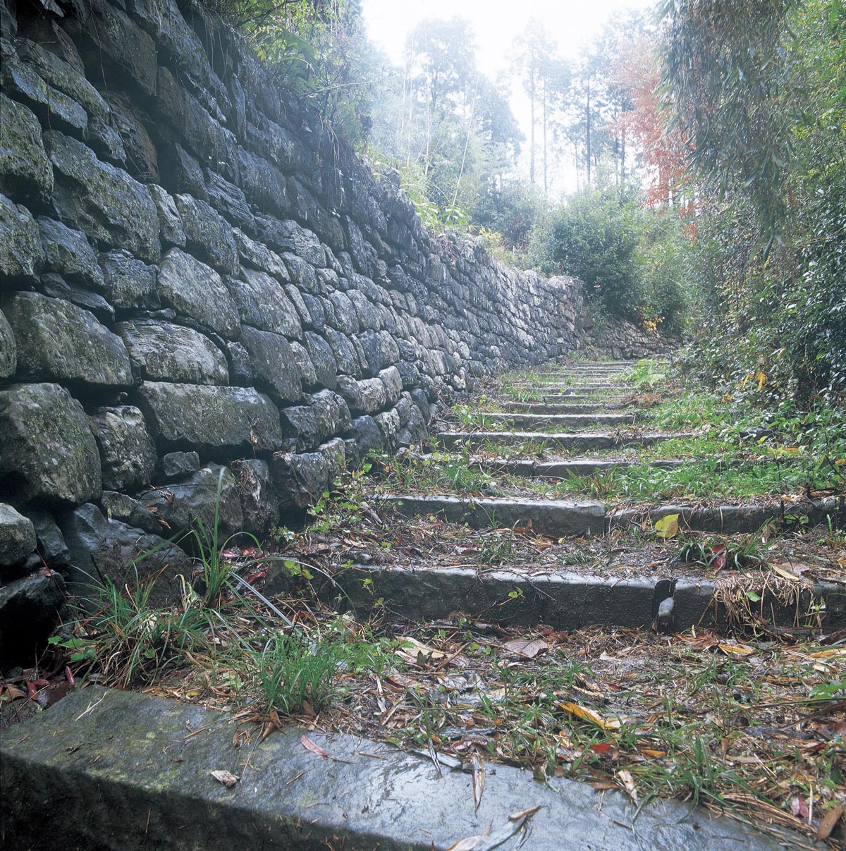 熊野古道大辺路 富田坂