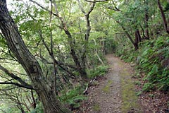熊野古道大辺路 富田坂