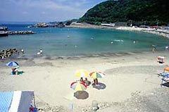椿温泉