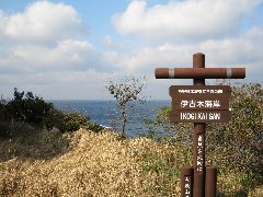 伊古木海岸