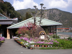えびね温泉