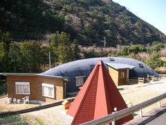 イルカの家