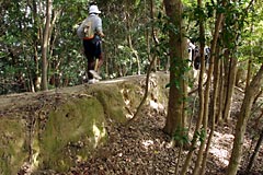 長井坂