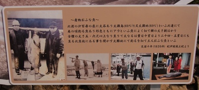 巨大魚伝説の説明板