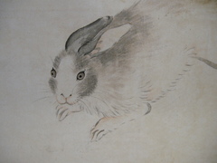 八方睨みの兎