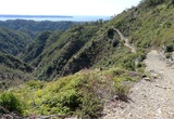 登山道を振り返る