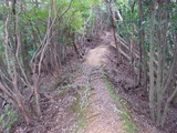 八郎峠道