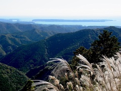 和深鶴川林道からの眺望1
