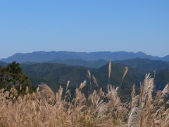 和深鶴川林道からの眺望2
