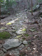 新田平見の古道