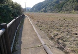 整備された歩道