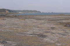 大沛(おおはい)の磯からの眺望