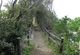 山見跡への小道