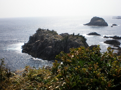 樫タカノ巣