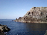 樫タカノ巣