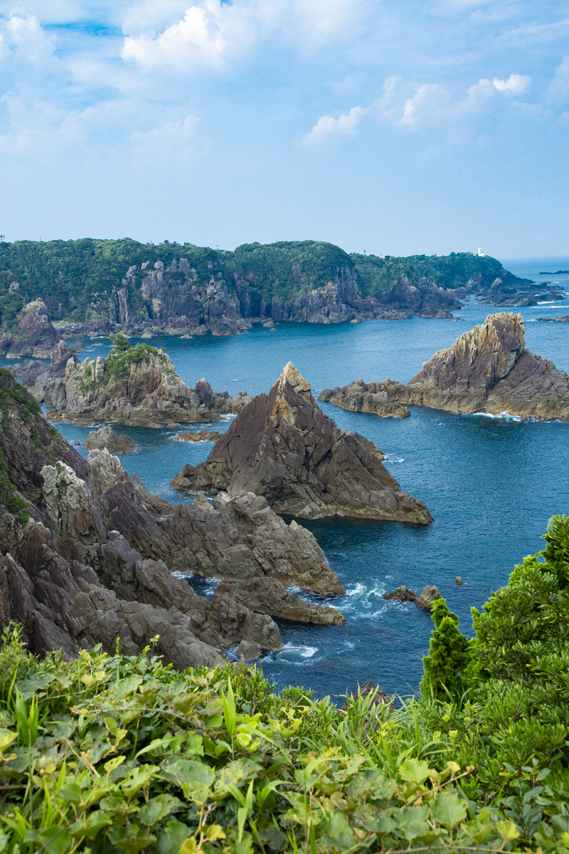 海金剛